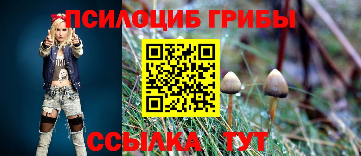 Галлюциногенные грибы Psilocybe Ликино-Дулёво